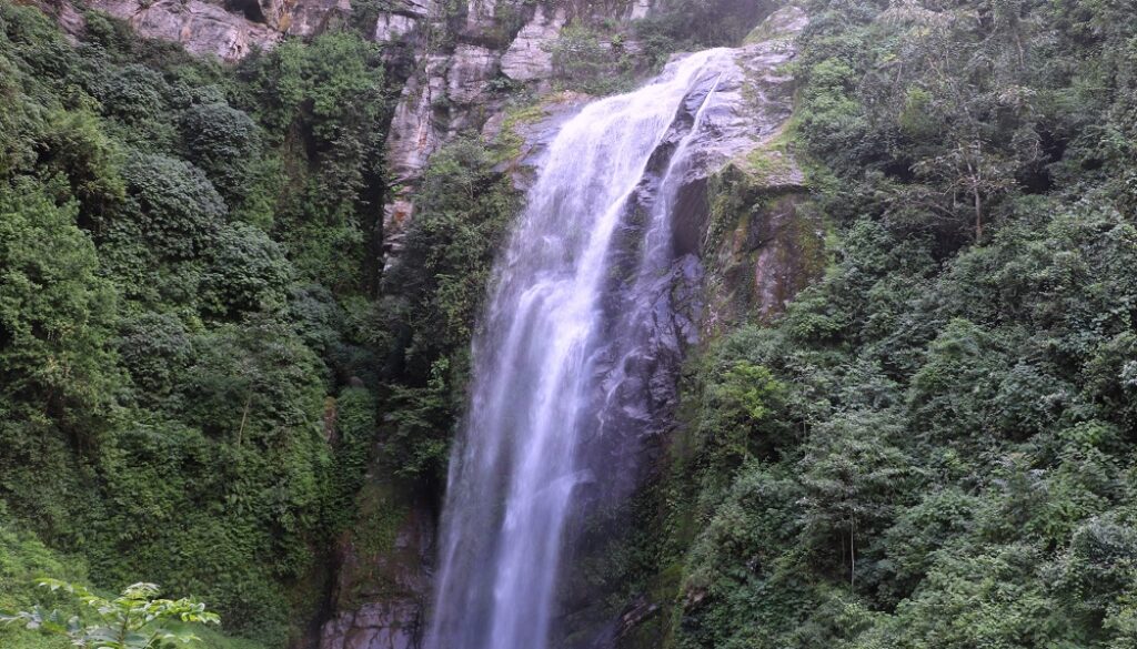 mahavir-jharana mahavir-jharana