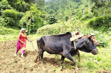 prem-maya-shrestha