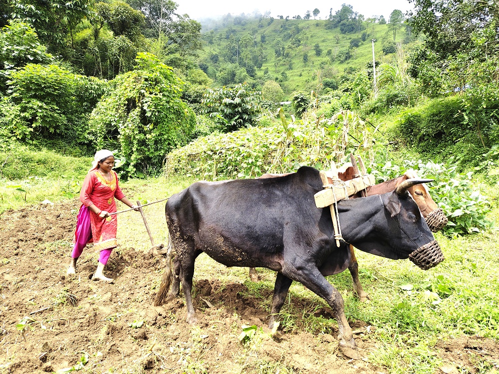 prem-maya-shrestha