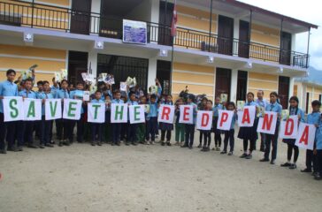 redday