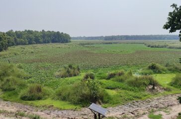 tal-nikunja