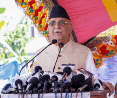 KP-Oli_