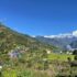 Toripani-village