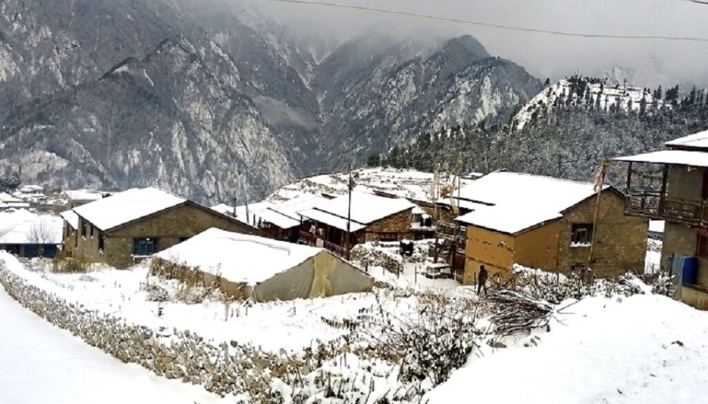 hiu-humla