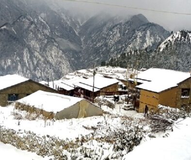 hiu-humla