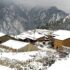 hiu-humla