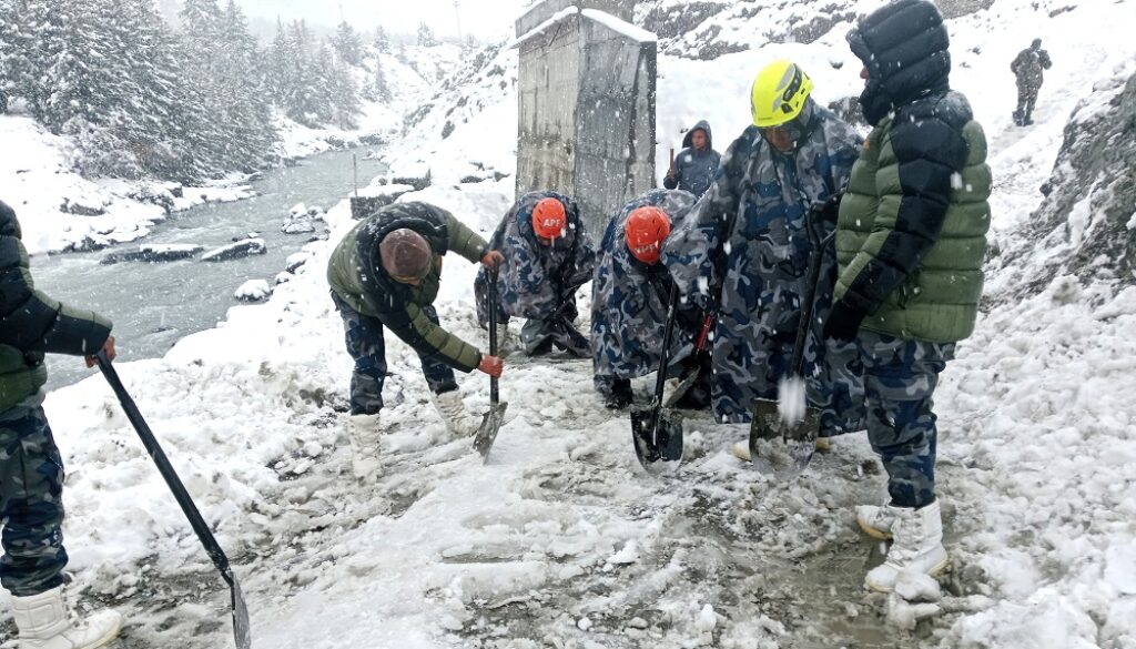 hiu-panchaudai hiu-panchaudai