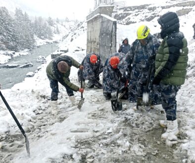 hiu-panchaudai hiu-panchaudai