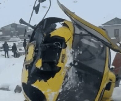 lubuche-plen lubuche-plen