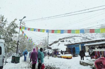 mustang-himpat-kartik11