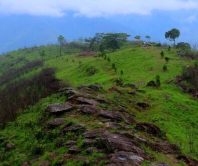 puwadaha-bhojpur puwadaha-bhojpur