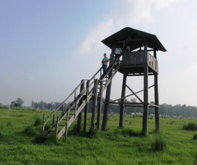 suklafata-kanchanpur