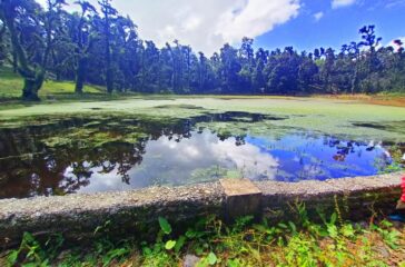 tall-baglung tall-baglung