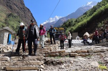 Mauris-Harjok-traking-r