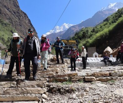 Mauris-Harjok-traking-r