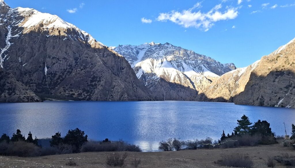 se-foxundo-tal-dolpa