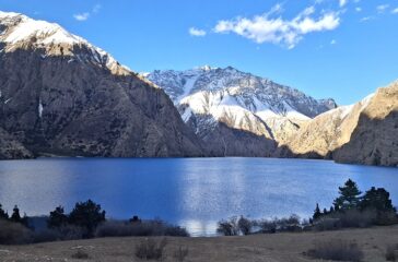 se-foxundo-tal-dolpa