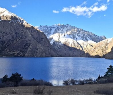 se-foxundo-tal-dolpa