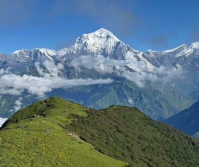 Dhaulagiri-Himal
