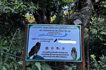 Latokosero-Conservation