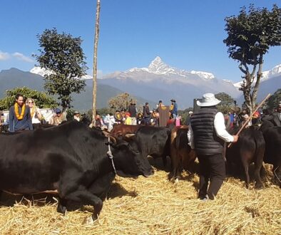 dain-mahostab-pokhara