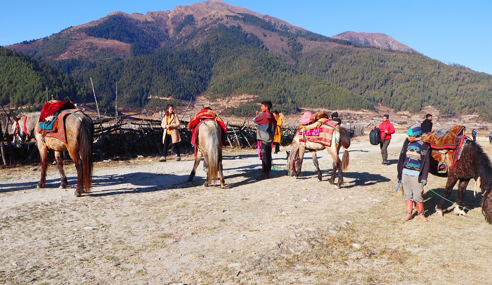 यस वर्ष चिसो याममा पनि ढोरपाटनमा पर्यटकको चहलपहल, होटल व्यवसायी उत्साहित