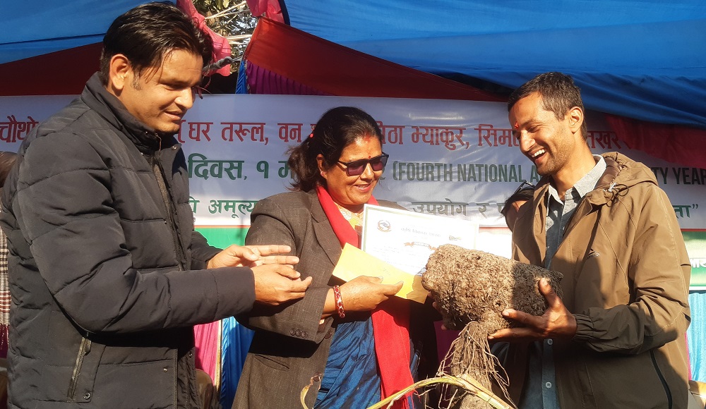 पोखरामा बृहत् कन्दमूल प्रदर्शनी