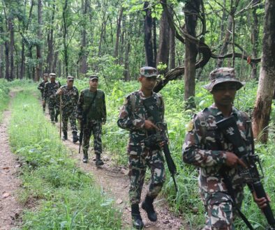 Operational Activities