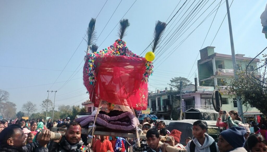 आधुनिकतासँगै सङ्कटमा राना थारु समुदायको डोली-चन्डोल बोक्ने परम्परा