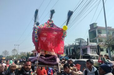 आधुनिकतासँगै सङ्कटमा राना थारु समुदायको डोली-चन्डोल बोक्ने परम्परा