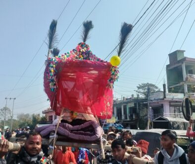 आधुनिकतासँगै सङ्कटमा राना थारु समुदायको डोली-चन्डोल बोक्ने परम्परा