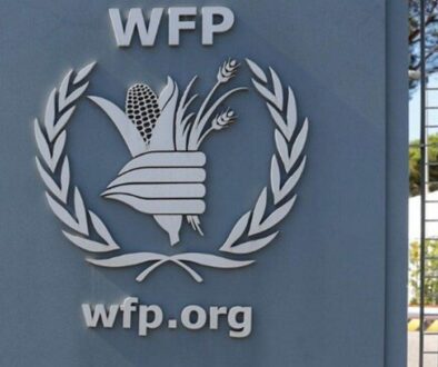 wfp-food