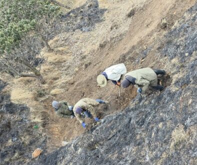dhaulagiri-traking root-icefal