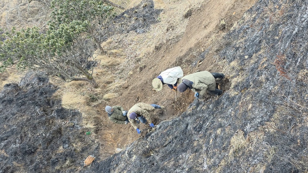 dhaulagiri-traking root-icefal