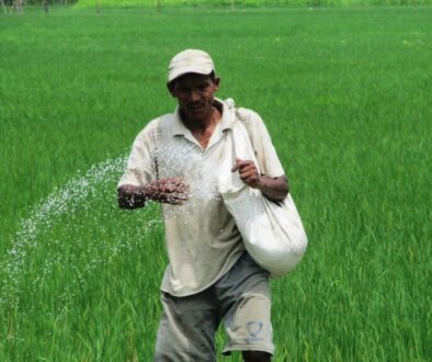 fertilizer-in-nepal