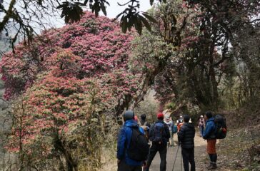 Ghodepani-Laligurash-Tourist