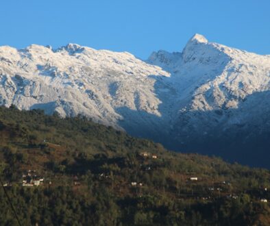 taplejung-dada