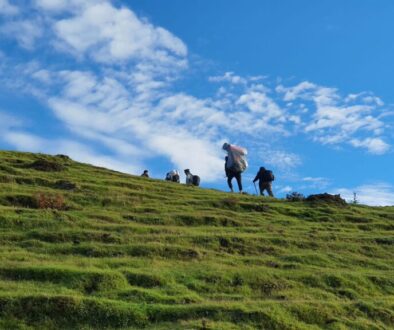 474697753_1540169920027567_5319792475084221585_n