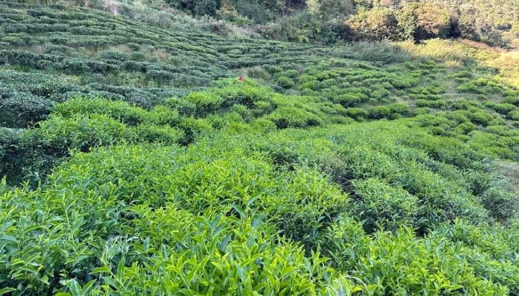 561565118_796328073235146_2534940905534318715_n