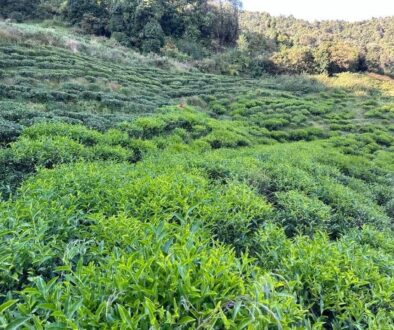 561565118_796328073235146_2534940905534318715_n