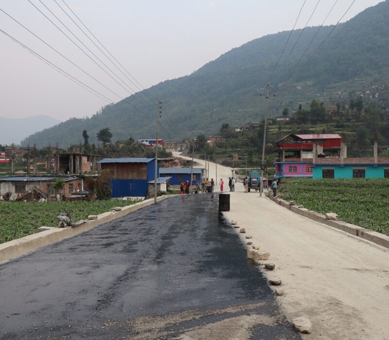 Dharapani-Takam Jhindada Road (1)