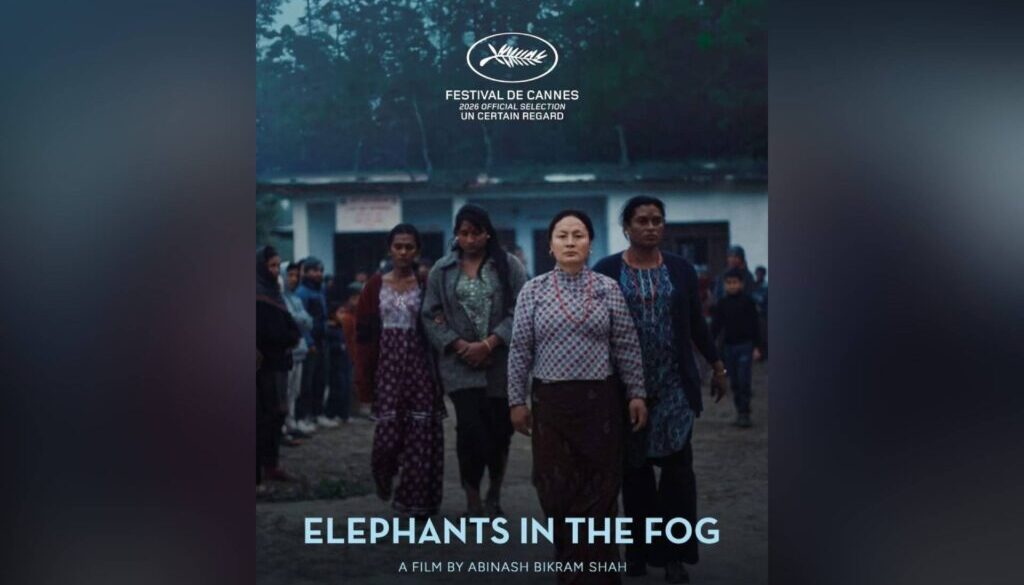 Elephants in the Fog