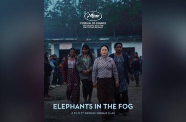 Elephants in the Fog