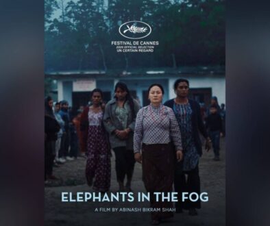 Elephants in the Fog