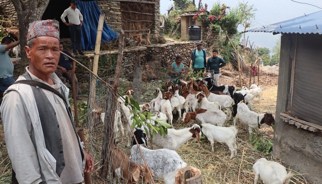 Kul-prashad-goat farming