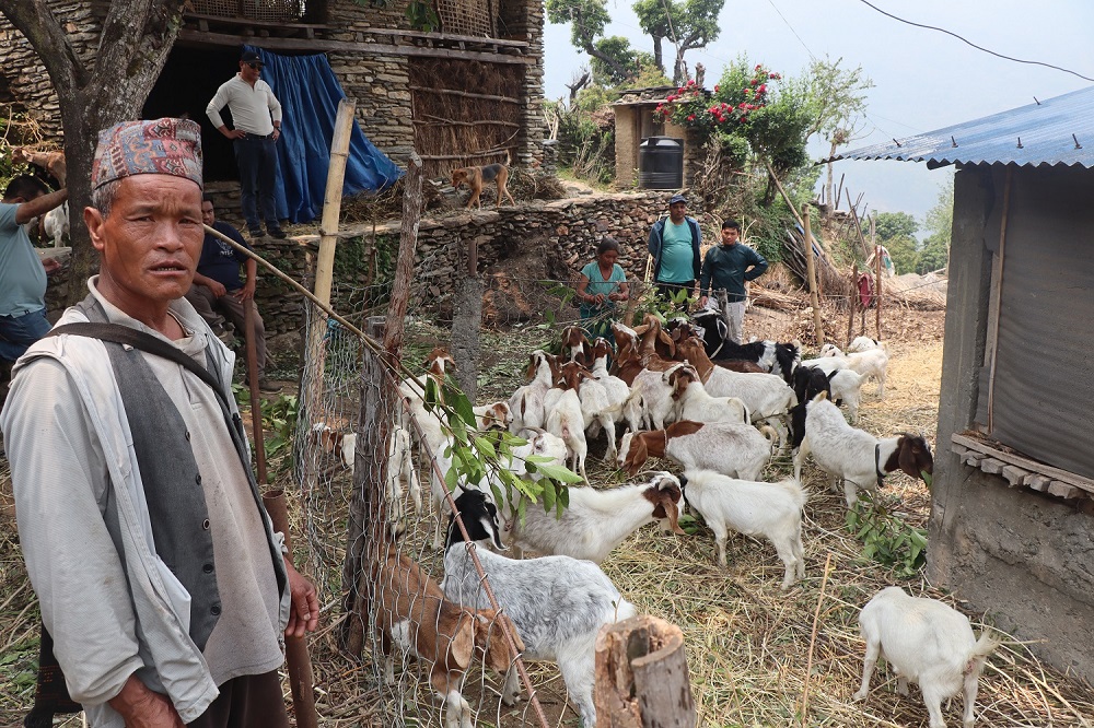 Kul-prashad-goat farming