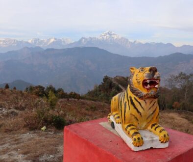 Tigar-Park