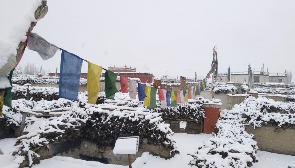 himpat-mustamg-chaitra