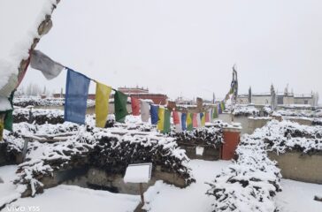 himpat-mustamg-chaitra