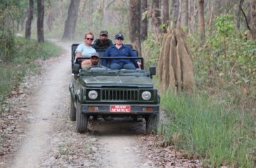 jungle-safari